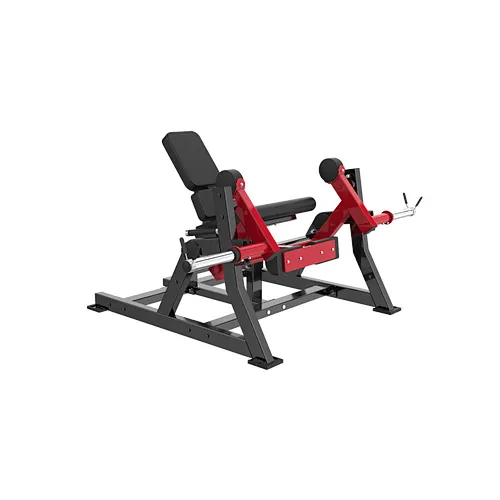 Chest Press